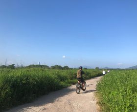 戶外單車樂悠遊 | 探索線